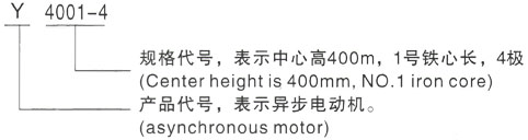 西安泰富西玛Y系列(H355-1000)高压YKK4506-2GJ三相异步电机型号说明