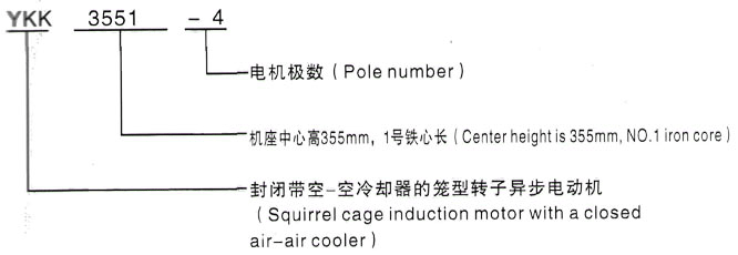 YKK系列(H355-1000)高压YKK4506-2GJ三相异步电机西安泰富西玛电机型号说明