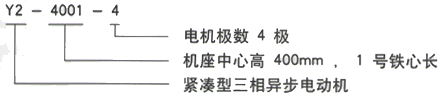 YR系列(H355-1000)高压YKK4506-2GJ三相异步电机西安西玛电机型号说明